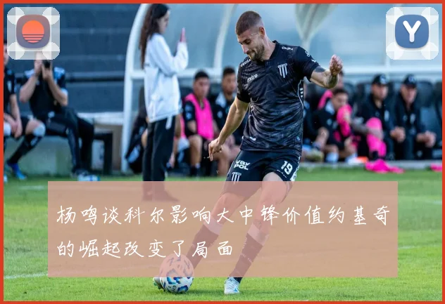 杨鸣谈科尔影响大中锋价值约基奇的崛起改变了局面