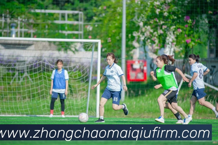 多媒体互动体验