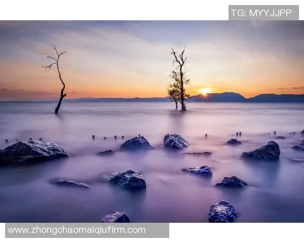 在关键时刻做出明智选择的重要性与不可避免性